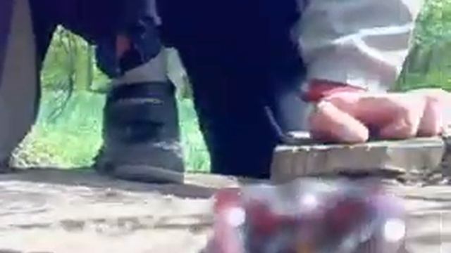 Большой Рогатый Жук олень в дендропарке "Александрия".Stag beetle. Жук с рогами. Звуки природы. смотреть онлайн