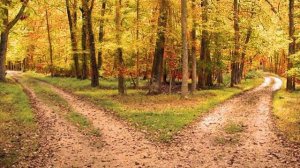 Другая дорога (Фрост) /Поэзия со смыслом