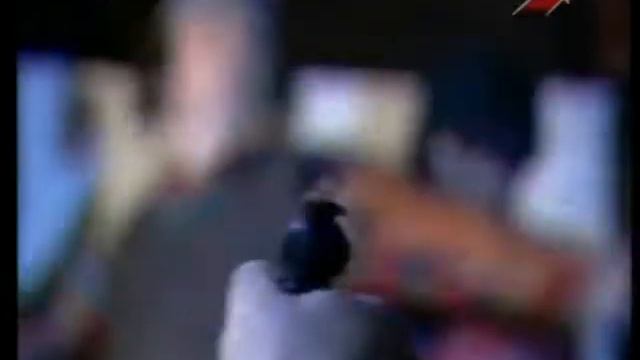 Осторожно, Модерн! - Реклама "Жилет" смотреть онлайн