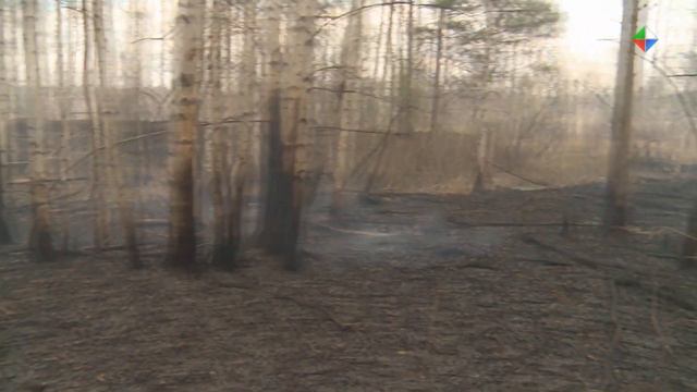 Свердловские власти ведут работу по предупреждению природных пожаров смотреть онлайн