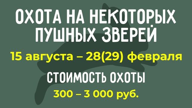 Новости охоты и рыбалки. Охота на барсука и на реву смотреть онлайн