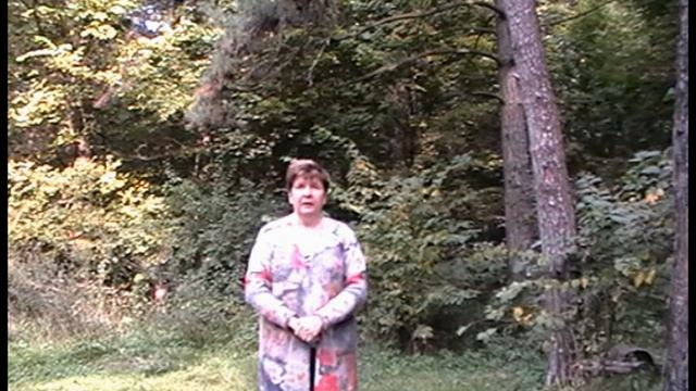 Фоноритмика. Комплекс №4 смотреть онлайн