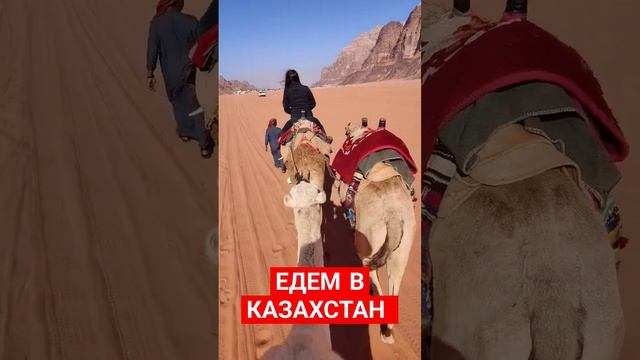 Лайфхак, как добраться до Казахстана #казахстан #лайфхак #юмор смотреть онлайн