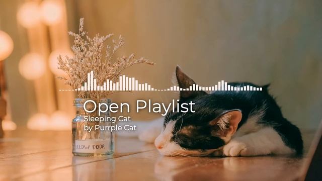 Sleeping Cat - Purrple Cat (No Copyright Music) смотреть онлайн