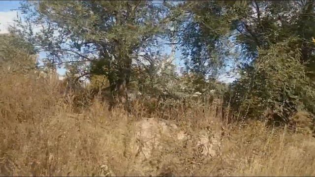 ЗИМНЯЯ ДОРОГА К ЗЕМЕЛЬ. УЧАСТКУ 170 С ДОМОМ в ПЛОДОПИТОМНИКЕ,ПО ВОДОЗАБОРНОЙ,3/172,СО ЗМЕИНОГОРСКОГ смотреть онлайн