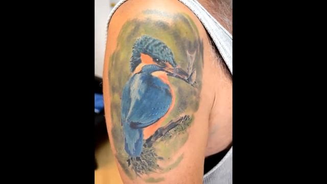 kingfisher tattoo смотреть онлайн