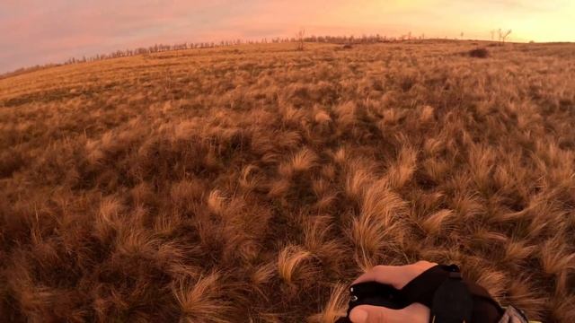 Ириклинское водохранилище Мыс морская игла смотреть онлайн