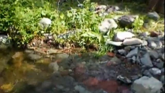 9.Поход в горы Тарбагатай 2013г смотреть онлайн