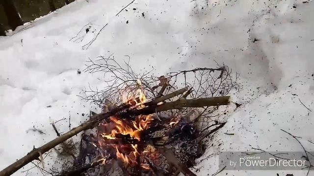 ВЫЖИВАНИЕ 12 ЧАСОВ ВЕСНОЙ В МОКРОМ ЛЕСУ смотреть онлайн