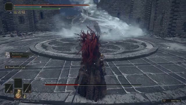 Elden Ring - Commander Niall - Bewitching Branch + Black Knife Tiche (NG+7 - No Hit) смотреть онлайн