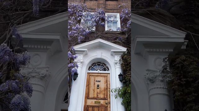 Сказочный дом в Лондоне | Глициния китайская в Англии | Растения в Лондоне смотреть онлайн