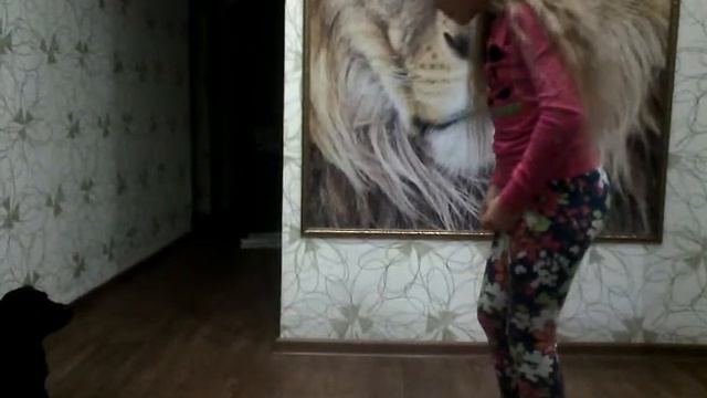 Мой новый питомец щенок Иркут. смотреть онлайн