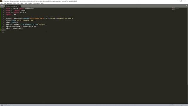 ⭐Cortar imagen con Selenium | Selenium con Python⭐ смотреть онлайн