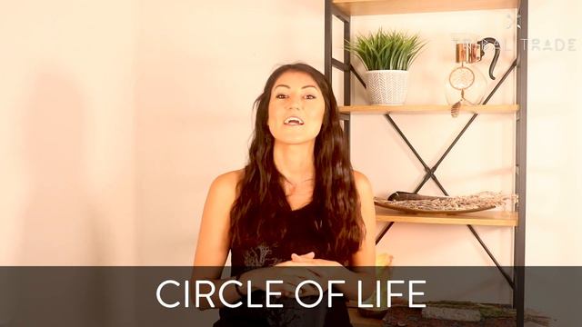 Indigenous Worldview 🌍 (what is it, and how is it different) смотреть онлайн