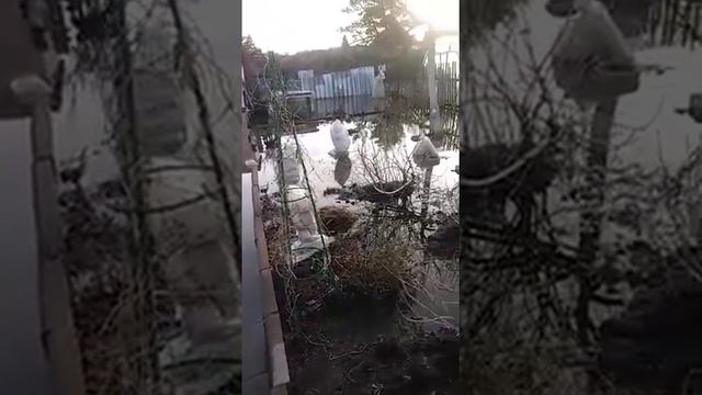 Фёдоровские дачи смотреть онлайн
