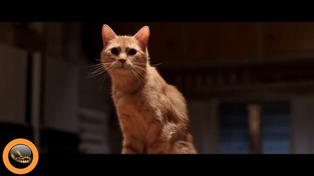 Райан Рейнольдс (Ryan Rodney Reynolds) - Биография актёра