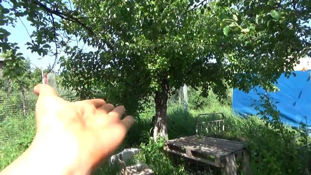 блог, почему не сносим дом, немного про огород, влог № 345