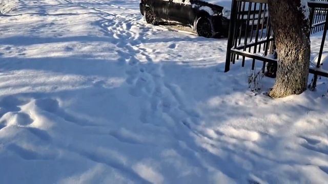 Долгожданный снег.Хлеб на закваске не получился.Обидно. смотреть онлайн
