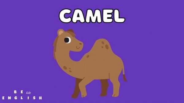 Wild Animals – Vocabulary Flash Cards (English lessons for kids) part 1