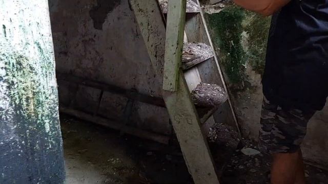 Rumah Kuno Ratusan Tahun, Barang Antik yg Terakhir Hanya Ini... | Old & Antique House смотреть онлайн