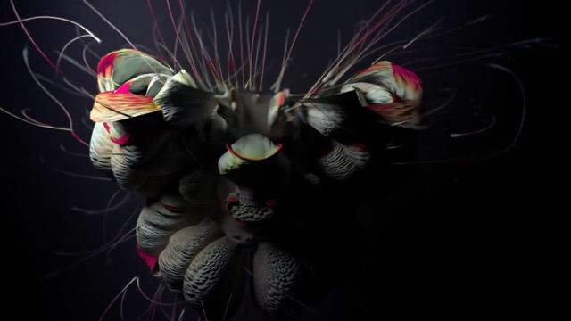 Björk - Tabula Rasa смотреть онлайн