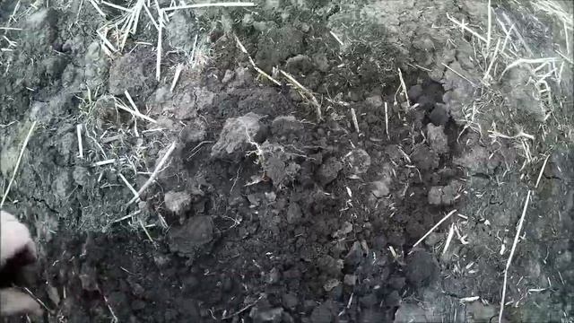 Зябь и пар по Овсинскому весной. Уплотнительное воздействие тракторов на почву. смотреть онлайн