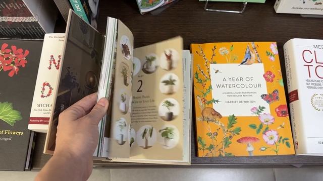 Книжный влог ? Канцтовары Цубаки, Поход в книжный, Маленький уютный уголок ✨ смотреть онлайн