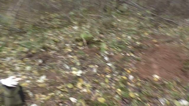 Нашёл заброшенный фундамент. Затерянные в лесу деревни. .