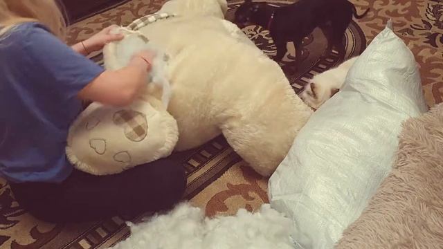 Расчеленёнка? Как постирать большую мягкую игрушку