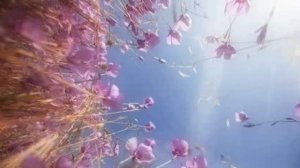 Шри Рамана Махарши     Кто я