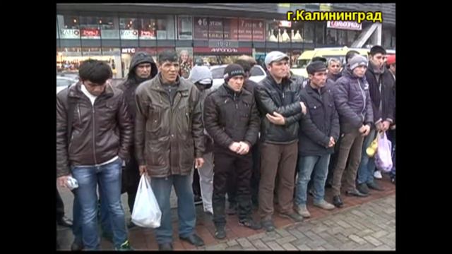 В Калининграде сотрудники полиции провели рейд по выявлению мигрантов-нелегалов смотреть онлайн