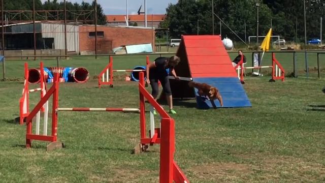 Aarschot, weekend - Agility Open - Kitsu смотреть онлайн