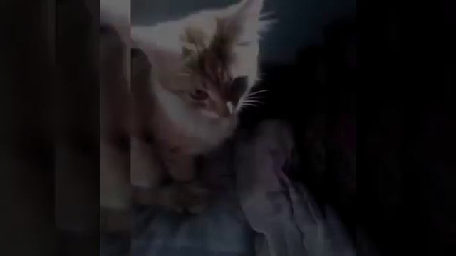 А вы какие люди??? смотреть онлайн