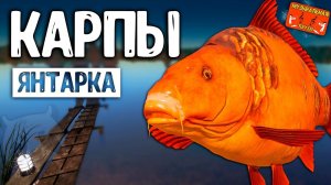 РР4/ рыбалка для души, ловим как универсал, общаемся 12.06.24