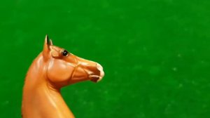 Огромная распаковка посылки с лошадьми Breyer и Safari LTD