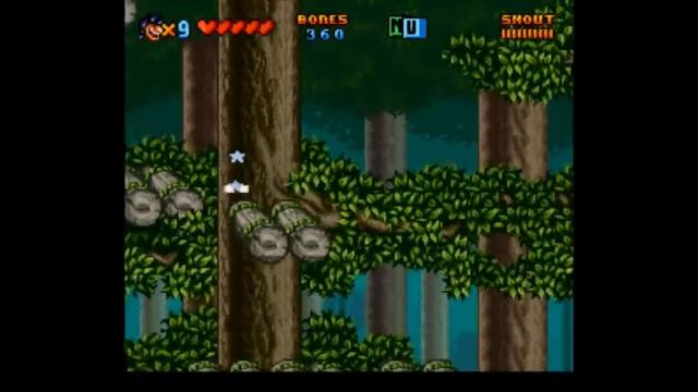 SNES Prehistorik Man Video Walkthrough смотреть онлайн