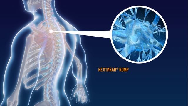 Келтикан Комплекс