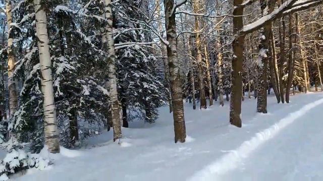 Всё что не нужно было говорить-Эмили Джейн)))(Лена Хеппи) выболтала на стриме с Любой смотреть онлайн