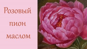 Розовый пион маслом на холсте. Как быстро нарисовать пион маслом.