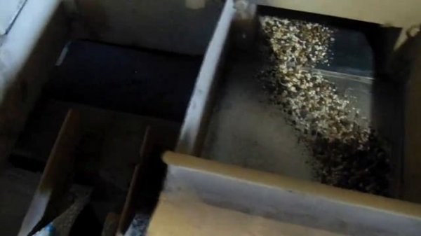 Очистка гречки на Петкус К-531 Cleaning buckwheat on Petkus K-531