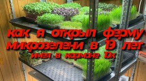 Как открыть ферму микрозелени? Бизнес на выращивании микрозелени! Как продавать микрозелень?