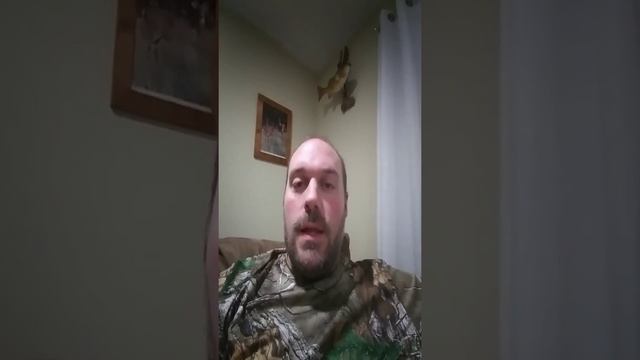 Markets correct, safe havens game on смотреть онлайн