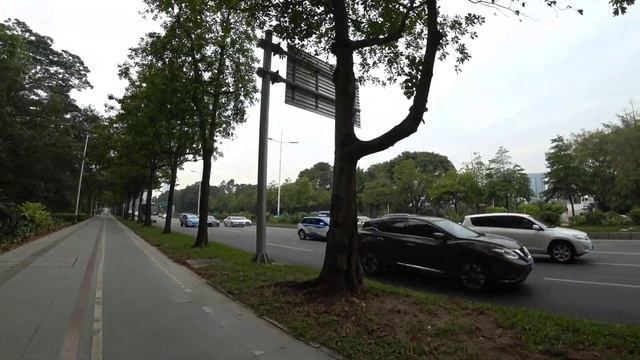 Первый раз Попробовал настоящий Кокос в Китае и как их проращивают смотреть онлайн