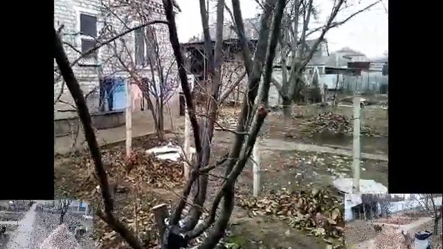 Садовый измельчитель Зубр ЗИЭ-40-2500 смотреть онлайн