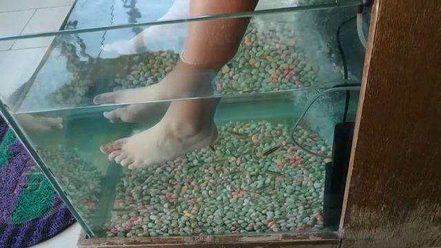 Рыбки Гарра Руфа смотреть онлайн