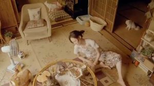 Кошка Напрокат 2012