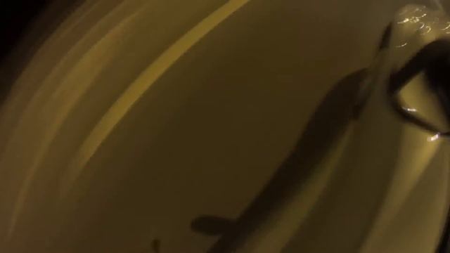 Жизнь в Варшаве Влог #10: Поездка в Украину ( Wyjazd na Ukrainę) смотреть онлайн