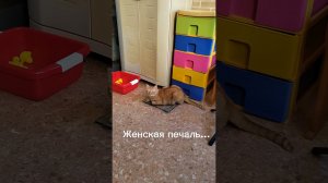 Взвесилась с утра! #ирискина #shorts