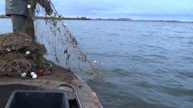 амур на сети смотреть онлайн