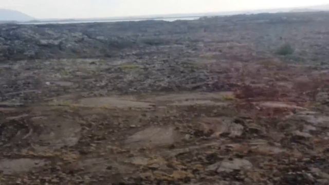 Дания+Фарерские острова+Исландия=Мох навсегда! смотреть онлайн